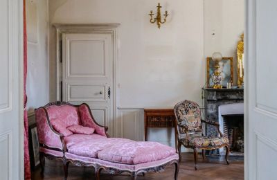 Pałac na sprzedaż Chenonceaux, Region Centre-Dolina Loary, Zdjęcie 8/32