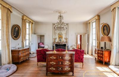 Pałac na sprzedaż Chenonceaux, Region Centre-Dolina Loary, Zdjęcie 6/32