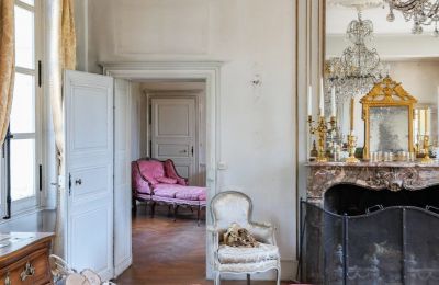 Pałac na sprzedaż Chenonceaux, Region Centre-Dolina Loary, Zdjęcie 7/32