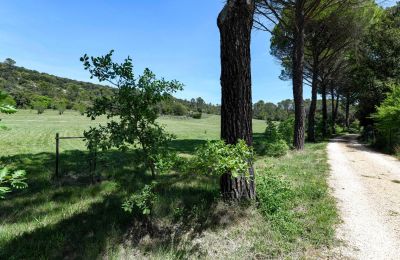 Dwór na sprzedaż Uzès, Oksytania, Zdjęcie 52/54