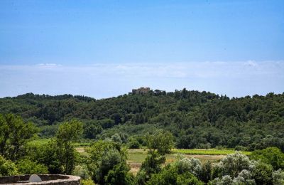 Zabytkowa nieruchomość na sprzedaż Uzès, Oksytania, Zdjęcie 32/32