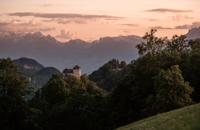 Pałac na sprzedaż 6845 Hohenems, Vorarlberg, Zdjęcie 4/20