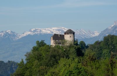 Pałac na sprzedaż 6845 Hohenems, Vorarlberg, Zdjęcie 2/20