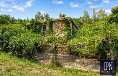 Młyn na sprzedaż Cortona, Toskania, Zdjęcie 12/49