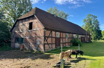 Zamek na sprzedaż 18513 Glewitz, Turow 19, Meklemburgia-Pomorze Przednie, Zdjęcie 82/100
