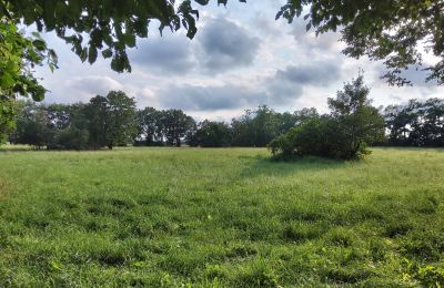 Dwór na sprzedaż Pakosław, Wielkopolskie, Zdjęcie 13/15