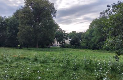 Dwór na sprzedaż Pakosław, Wielkopolskie, Zdjęcie 15/15