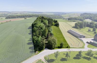 Dom wiejski na sprzedaż Manternach, Schorenshaff 2, Canton Grevenmacher, Zdjęcie 3/21