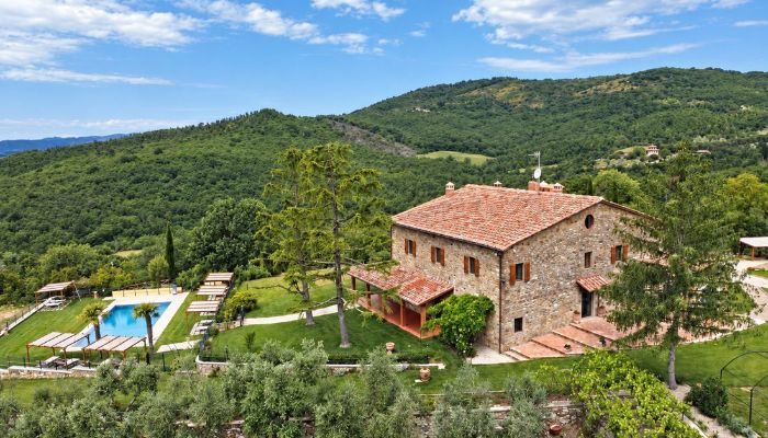  Civitella in Val di Chiana 3