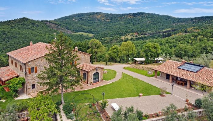  Civitella in Val di Chiana 5