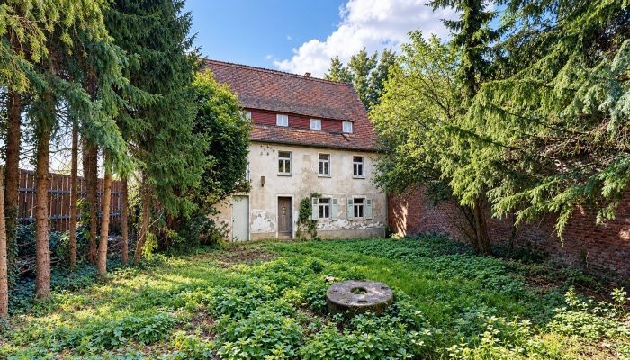 Zabytkowa nieruchomość 06686 Lützen, Saksonia-Anhalt