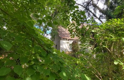 Zabytkowa nieruchomość na sprzedaż 06686 Lützen, Leipziger Straße 13, Saksonia-Anhalt, Historische-Wassermuhle-von-Franz-Stockchen-direkt-am-Rippach (8)