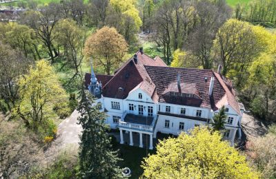 Pałac na sprzedaż Uścikowo, Kujawsko-pomorskie, Widok z drona