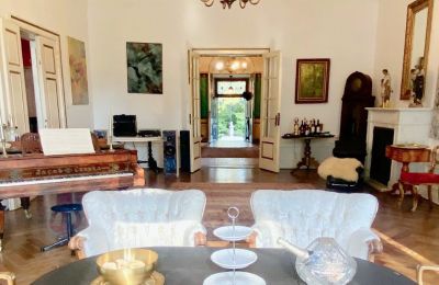 Pałac na sprzedaż Uścikowo, Kujawsko-pomorskie, Salon