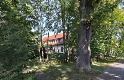 Dwór na sprzedaż Łódzkie, Zdjęcie 22/24
