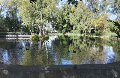 Dwór na sprzedaż Łódzkie, Jezioro/staw