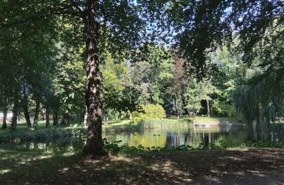Dwór na sprzedaż Łódzkie, Jezioro/staw