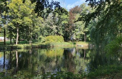 Dwór na sprzedaż Łódzkie, Jezioro/staw