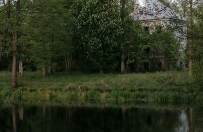 Dwór na sprzedaż Oleszno, Świętokrzyskie,, Zdjęcie 4/6