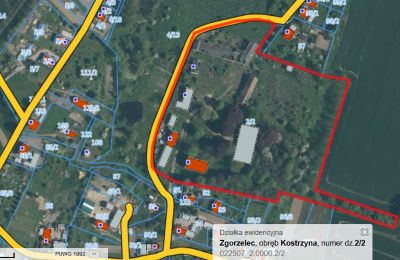 Pałac na sprzedaż Kostrzyna, województwo dolnośląskie:  