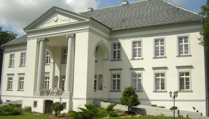 Pałac Maciejowice 2