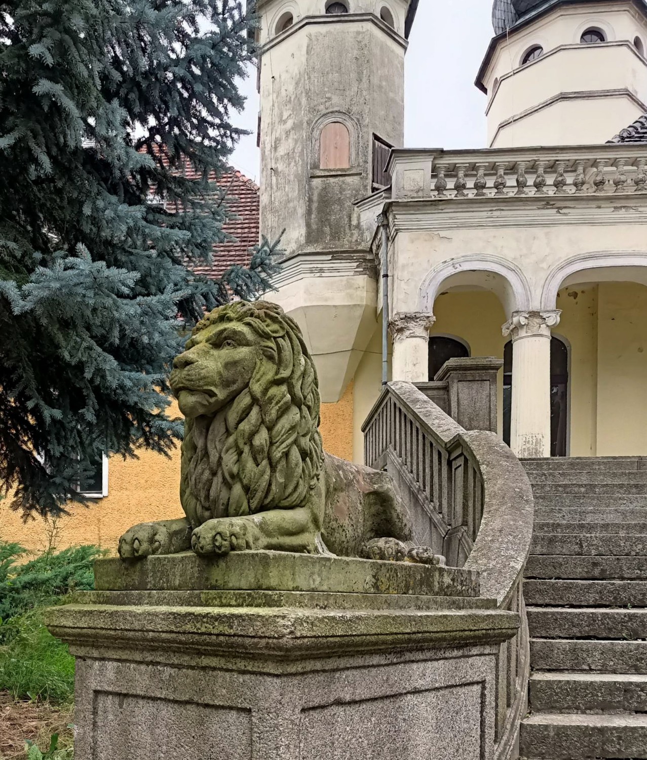 Strażnik Pałacu, Justyna Stęplewska, REALPORTICO