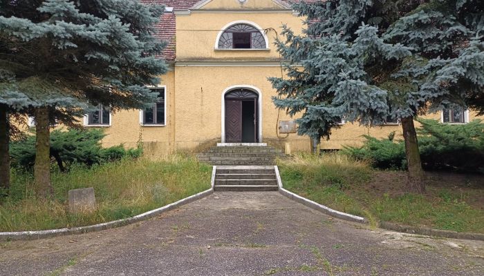 Dodatkowy dworek, Justyna Stęplewska, REALPORTICO