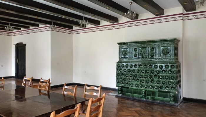 Sala w Pałacu, Justyna Stęplewska, REALPORTICO