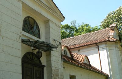 Dwór na sprzedaż Oporowo, Dwór w Oporowie 1, Wielkopolskie, Zdjęcie 7/9
