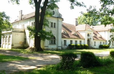 Dwór na sprzedaż Oporowo, Dwór w Oporowie 1, Wielkopolskie, Widok z przodu