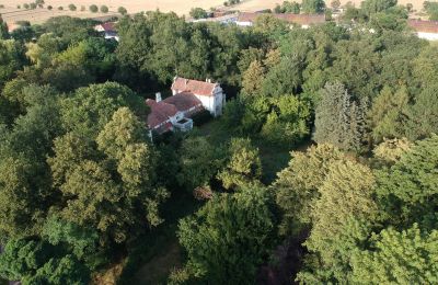 Dwór na sprzedaż Oporowo, Dwór w Oporowie 1, Wielkopolskie, Park