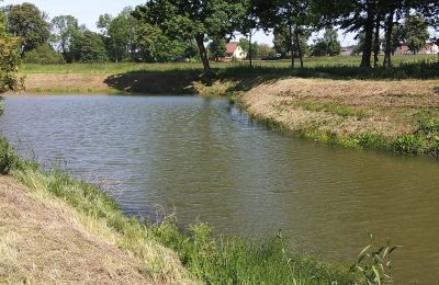 Dwór na sprzedaż Boguszynek, Wielkopolskie,, Jezioro/staw
