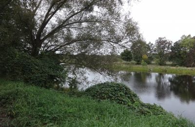 Pałac na sprzedaż Łęg, Wielkopolskie, Park
