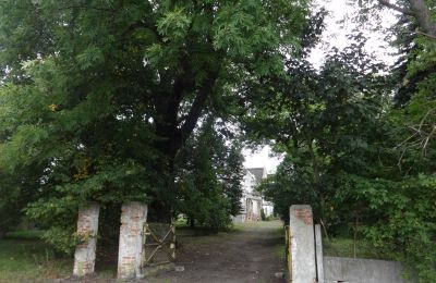Pałac na sprzedaż Łęg, Wielkopolskie, Wejście