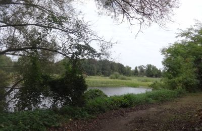 Pałac na sprzedaż Łęg, Wielkopolskie, Park