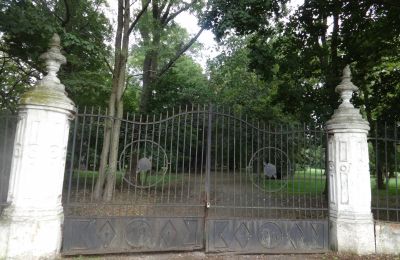 Pałac na sprzedaż Łęg, Wielkopolskie, Cel