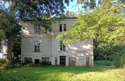 Dwór na sprzedaż Goniembice, Dwór w Goniembicach, Wielkopolskie, Widok z boku