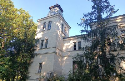 Dwór na sprzedaż Goniembice, Dwór w Goniembicach, Wielkopolskie, Zdjęcie 2/8