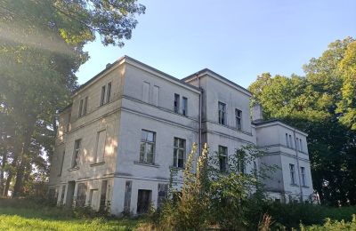 Dwór na sprzedaż Goniembice, Dwór w Goniembicach, Wielkopolskie, Zdjęcie 5/8