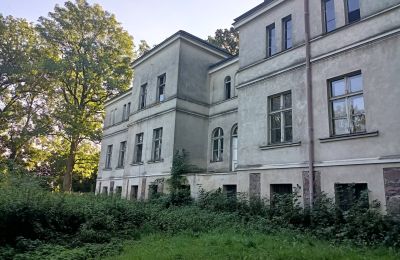 Dwór na sprzedaż Goniembice, Dwór w Goniembicach, Wielkopolskie, Widok z boku