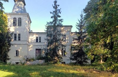 Dwór Goniembice, Wielkopolskie