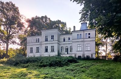 Dwór na sprzedaż Goniembice, Dwór w Goniembicach, Wielkopolskie, Dwór w Goniembicach 2025