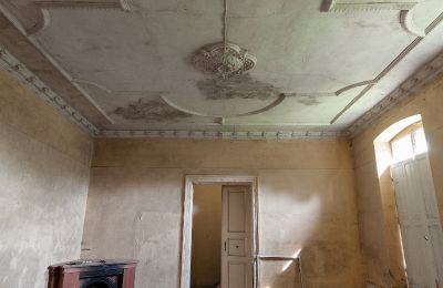 Pałac na sprzedaż Pakosław, Wielkopolskie, Dekoracja sztukatorska
