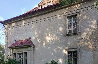 Dwór na sprzedaż Osieczna, Wielkopolskie, Detale architektoniczne