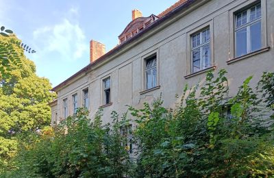Dwór na sprzedaż Osieczna, Wielkopolskie, Widok z tyłu