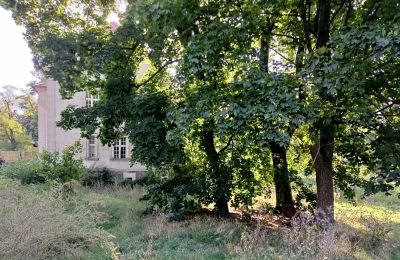 Dwór na sprzedaż Osieczna, Wielkopolskie, Park
