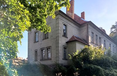 Dwór na sprzedaż Osieczna, Wielkopolskie, Widok z boku