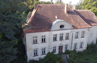 Dwór na sprzedaż Osieczna, Wielkopolskie, Zdjęcie Drona