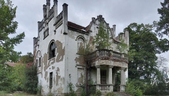 Dwór na sprzedaż Brodnica, Wielkopolskie,  Polska