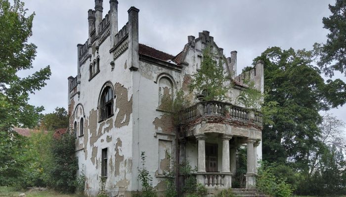 Dwór na sprzedaż Brodnica, województwo wielkopolskie,  Polska